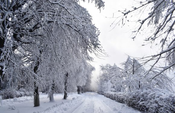 Прощаємось із зимою…