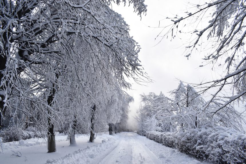 1 Прощаємось із зимою…