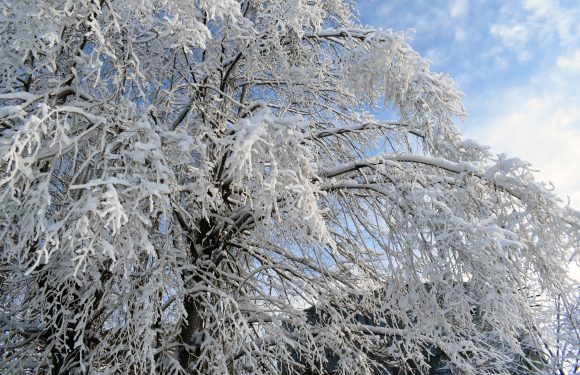 Прощаємось із зимою…