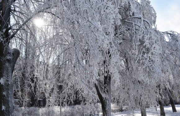 Прощаємось із зимою…