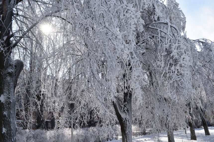 2 Прощаємось із зимою…