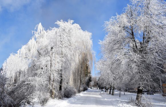 Прощаємось із зимою…