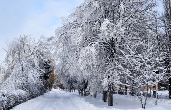 Прощаємось із зимою…