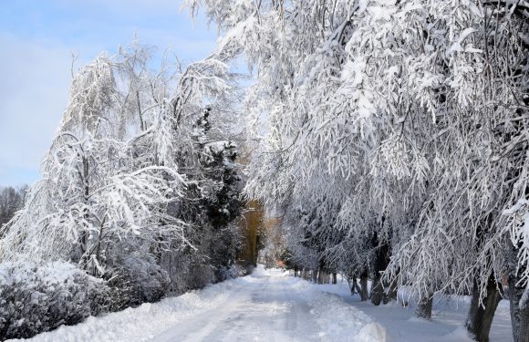 Прощаємось із зимою…