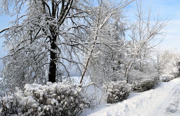 Прощаємось із зимою…