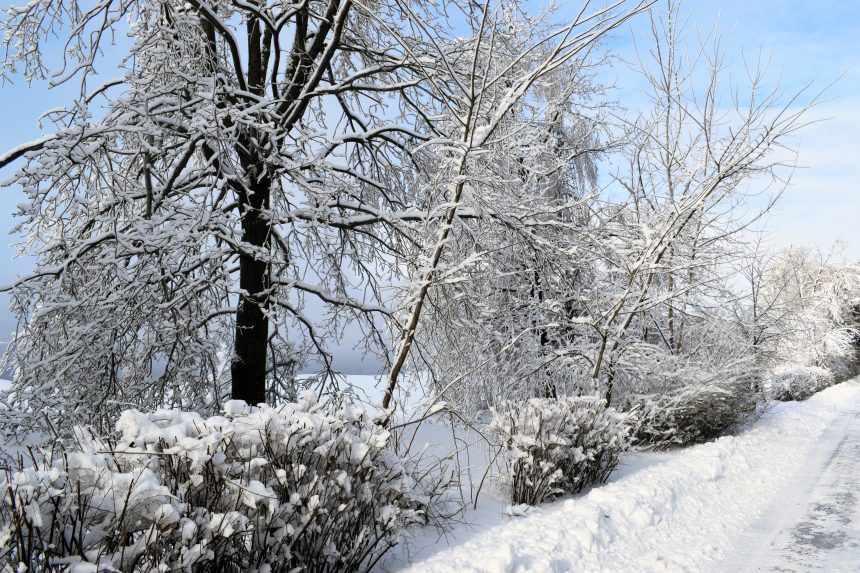 7 Прощаємось із зимою…