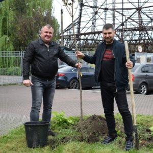 На Черкаській ТЕЦ висадили алею сакур